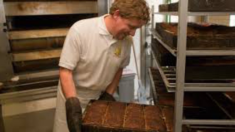 van benthem bakker van benthem bakker